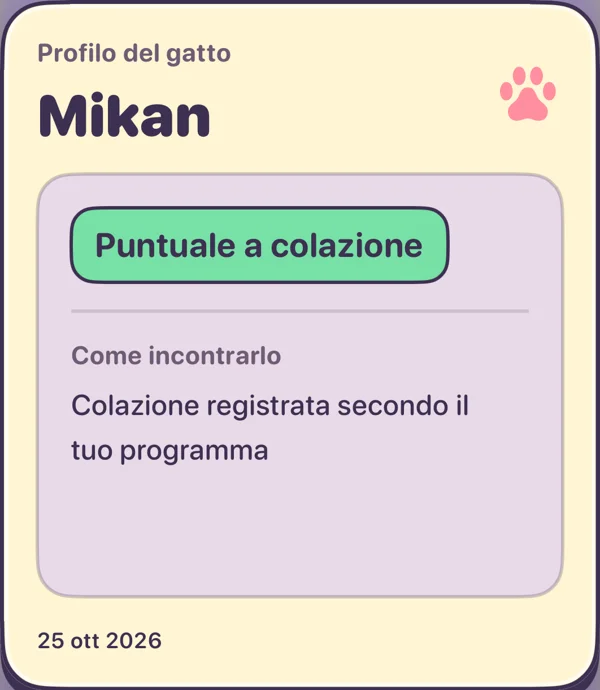 Una carta da collezione di KittyYard